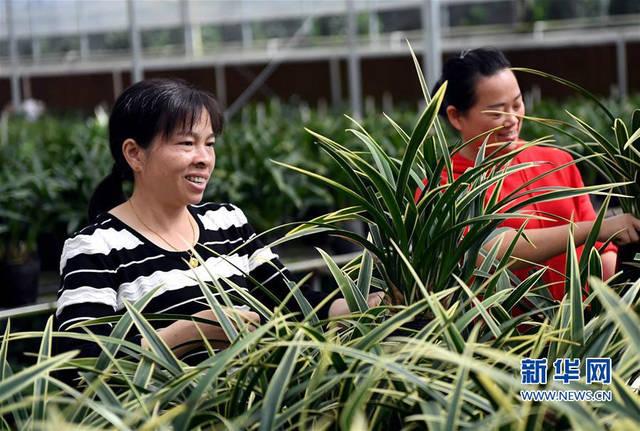 和员工一起设计“双十一”农副产品电商销售页面