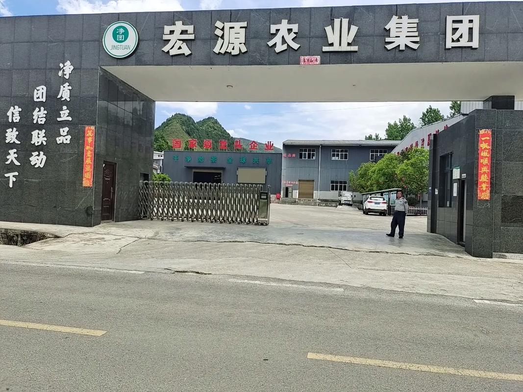 探访印江最大茶叶加工厂宏源农业集团 与韩总共话农副产品销售新篇章