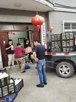 情系故乡，助农增收——千年舟集团董事长陆铜华助力家乡农副产品销售纪实