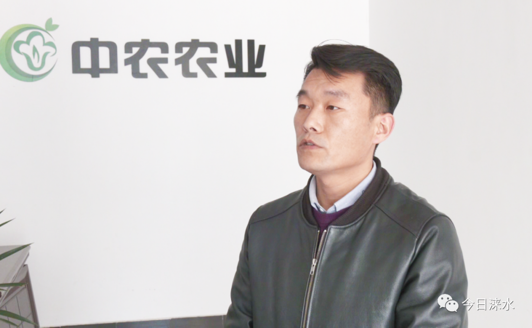 "菜篮子"变"钱袋子"丨涞水用"消费+产业"助力脱贫攻坚